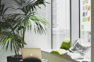 Shopify Theme Customization: Best Practices and Pitfalls